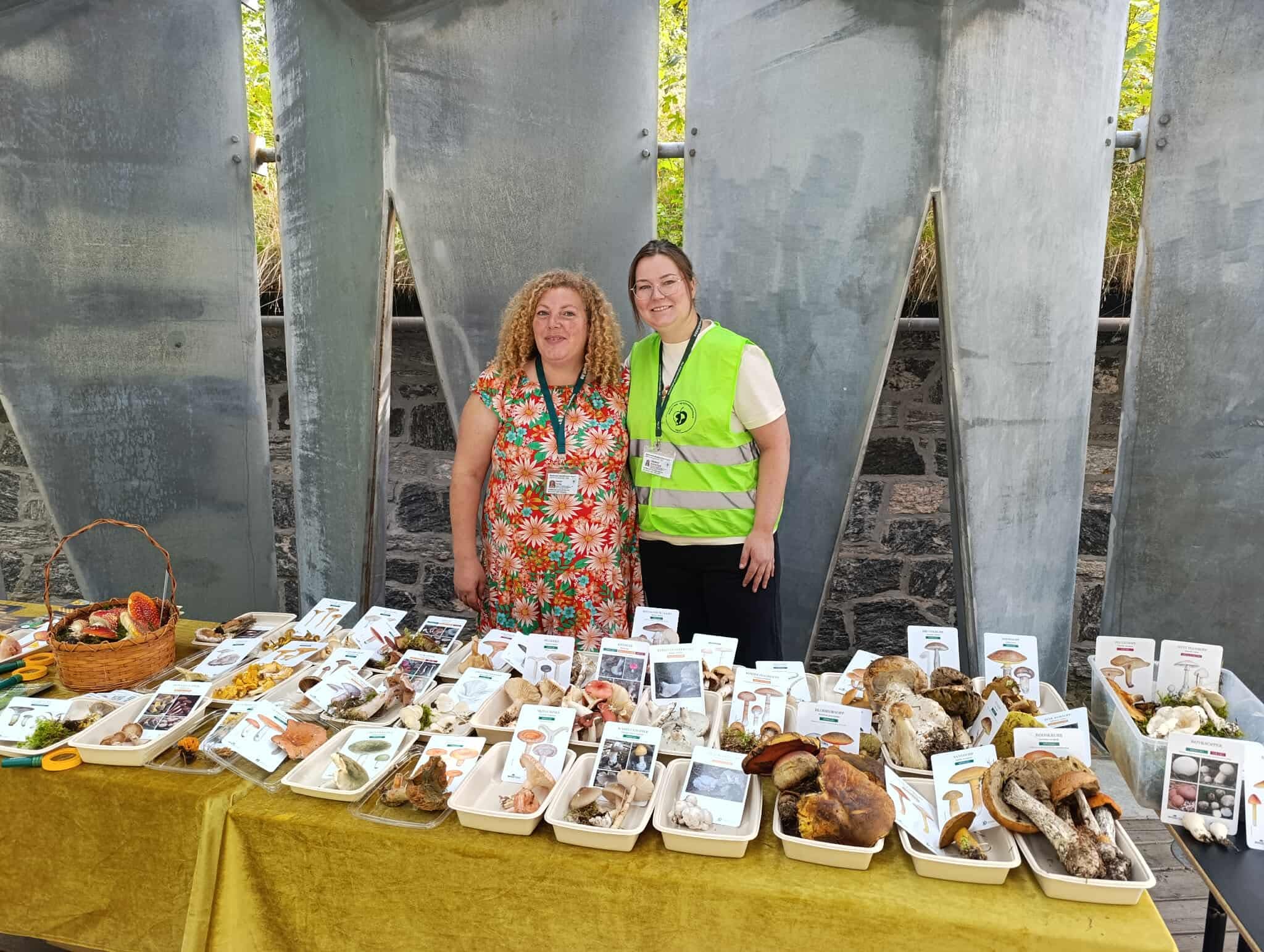 Blide kontrollører i Ørsta